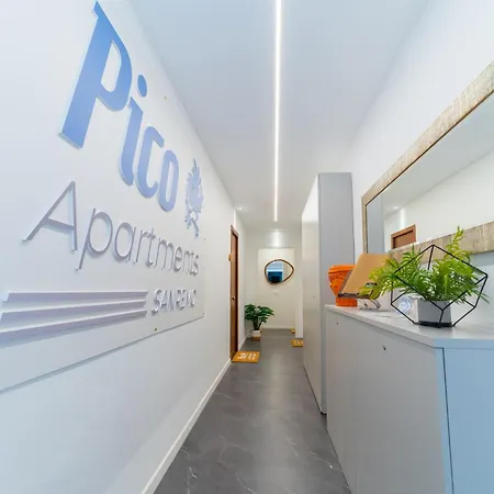 Apartment Pico 50 *